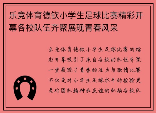 乐竞体育德钦小学生足球比赛精彩开幕各校队伍齐聚展现青春风采